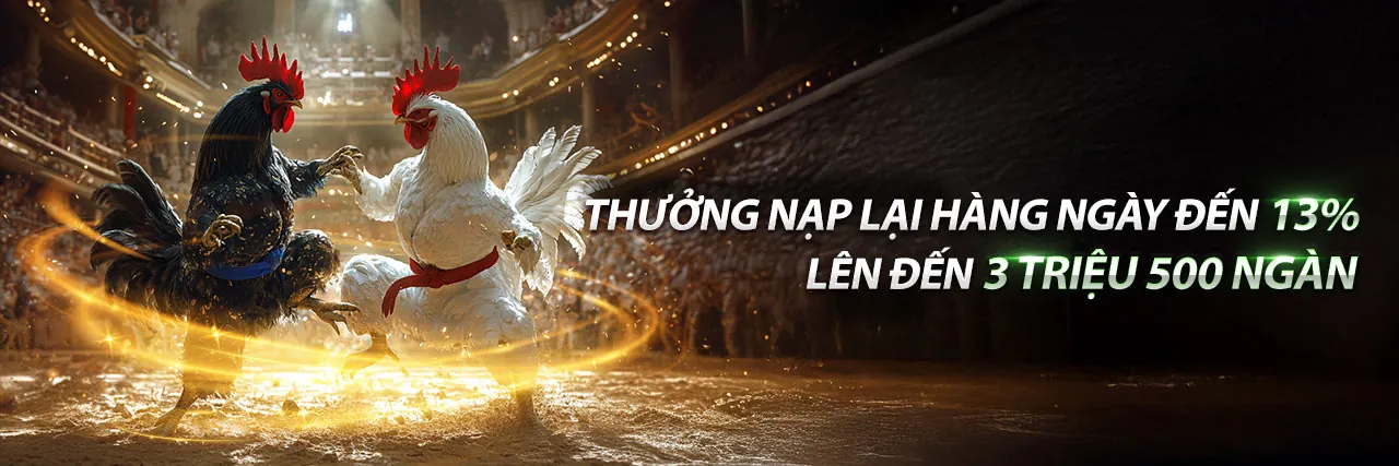 Hình ảnh giới thiệu 16nk88, nền tảng cá cược trực tuyến hàng đầu